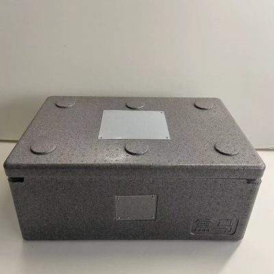 caja portátil de la espuma del EPP del ³ del 18-100kg/M para el empaquetado de la electrónica