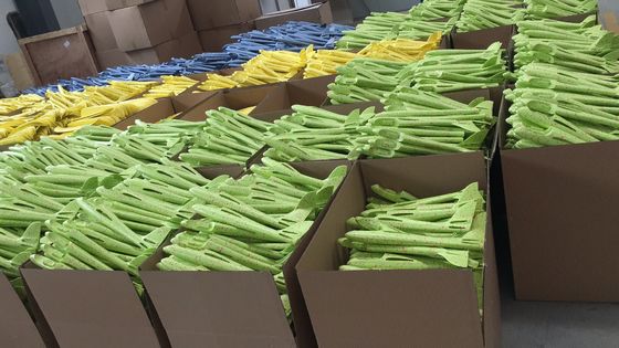 Diseños durables del OEM de los aviones de la espuma del EPP de la protección del medio ambiente que lanzan