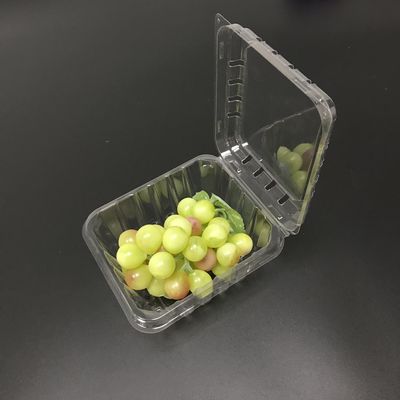 El envase de plástico del ANIMAL DOMÉSTICO encajona la frescura de los envases de plástico de la cubierta visible