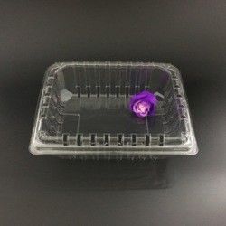 El envase de plástico del ANIMAL DOMÉSTICO encajona la frescura de los envases de plástico de la cubierta visible