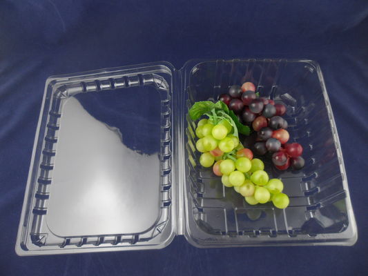 El envase de plástico disponible amistoso de la ampolla del plástico transparente de Eco encajona 500g
